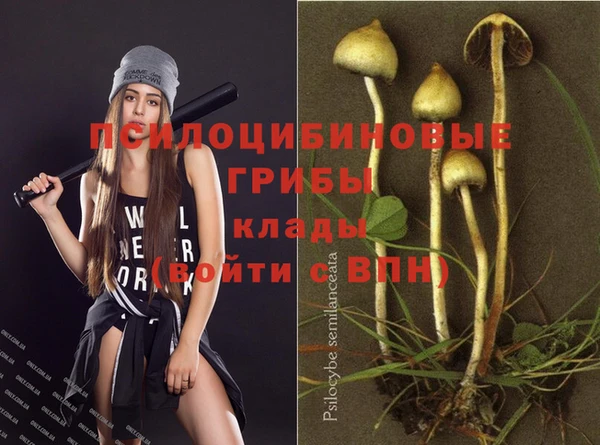 ПСИЛОЦИБИНОВЫЕ ГРИБЫ Алзамай