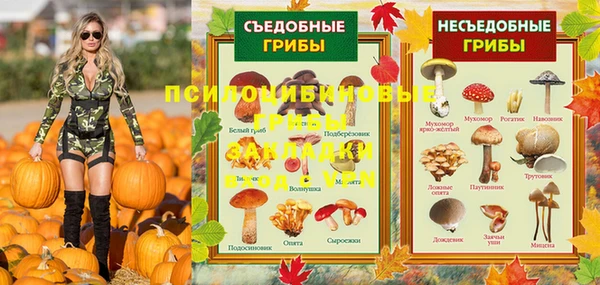 ПСИЛОЦИБИНОВЫЕ ГРИБЫ Алзамай