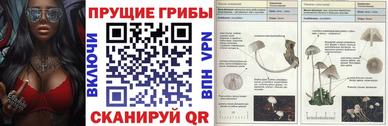 Галлюциногенные грибы ЛСД Асбест
